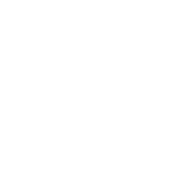 Access and crowd flow intelligence icon